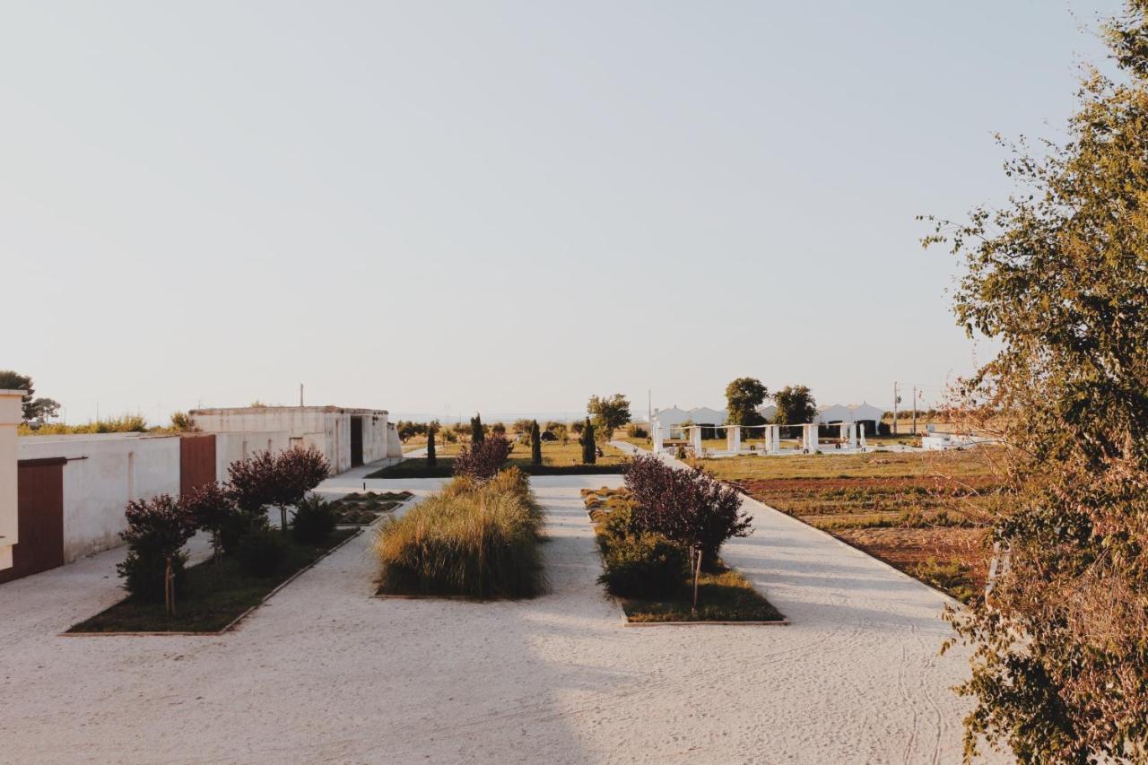 ماتيرا Masseria Fontana Di Vite المظهر الخارجي الصورة