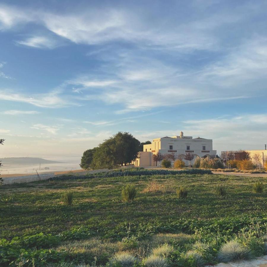 ماتيرا Masseria Fontana Di Vite المظهر الخارجي الصورة